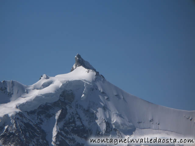 bishorn svizzera